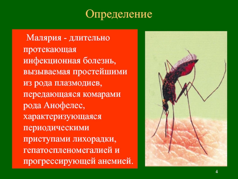 Длительное гаметоносительство может встречаться после перенесенной малярии. Инфекционные болезни малярийный комар. Малярия возбудитель малярийный комар. Переносчик малярии комар из рода анофелес. Малярия переносчик болезней.