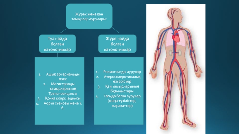 Қан жүйесі аурулары презентация