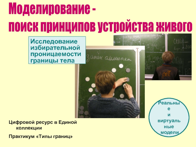 Практикум виды. Избирательная проницаемость , разграничения. Изучение электоральный истории и традиции.