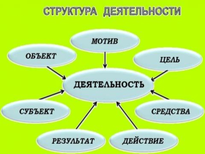 Какой вид деятельности не указан в схеме