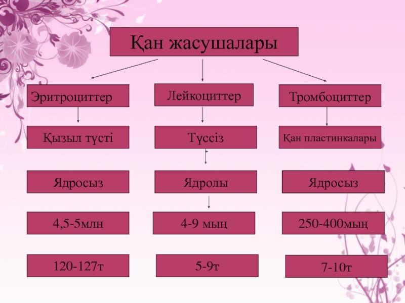 Эритроциттер. Тромбоциттер дегеніміз не. Қан жасушалары печать.