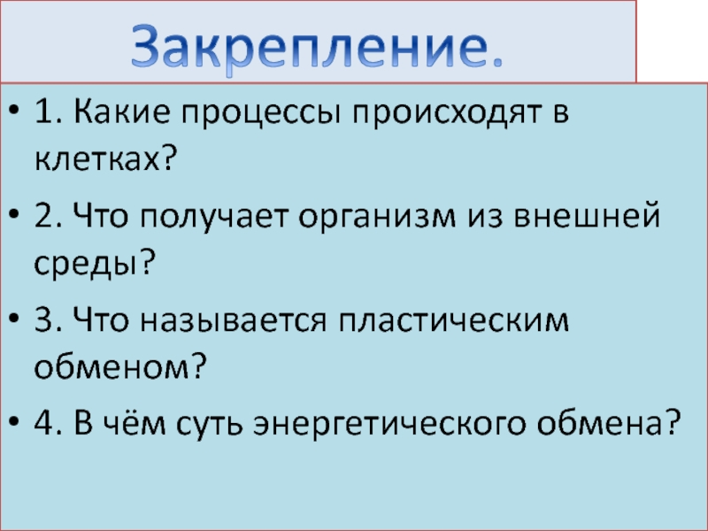 Какие процессы происходят. Какие процессы проходят в клетке. Что называется пластическим обменом в клетке. Какие процессы (изменения) происходят в клетке.