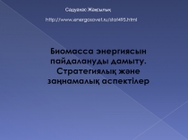 Биомасса энергиясын пайдалануды дамыту. Стратегиялық және заңнамалық