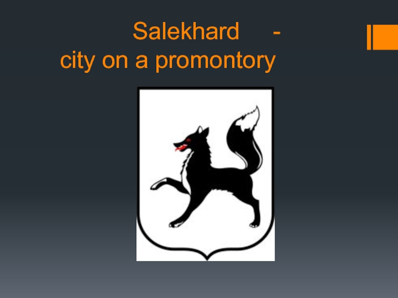 Презентация Salekhard - city on a promontory