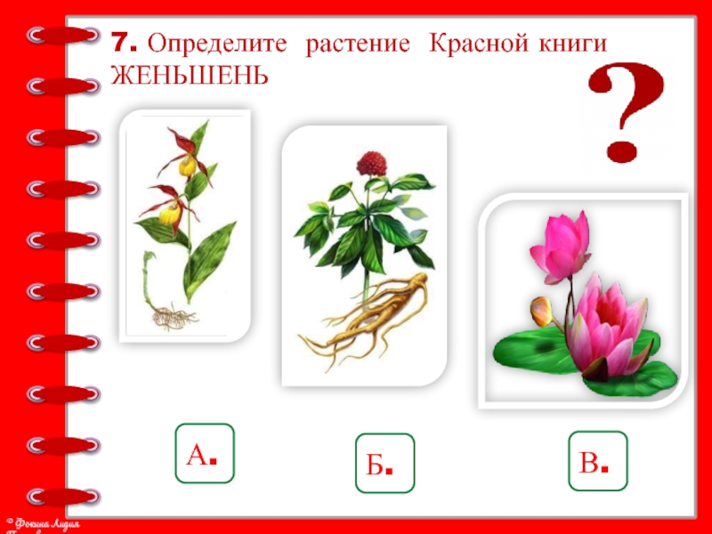 Как отличить цветы. Красная книга задание по окружающему миру 2 класс. Определить цветок. Распознать растение. Растения красной книги 2 класс.