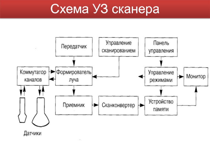 Схема ультразвуковая терапия