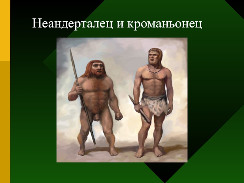 Неандертальцы предки кроманьонцев. Кроманьонец неандерталец сапиенс сапиенс. Хомо сапиенс неандерталец кроманьонец. Неандерталец хомосапиянс. Кроманьонец ( homo sapiens).
