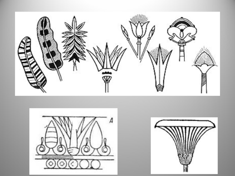 Традиционным мотивом египетского орнамента является стилизованное изображение ответ