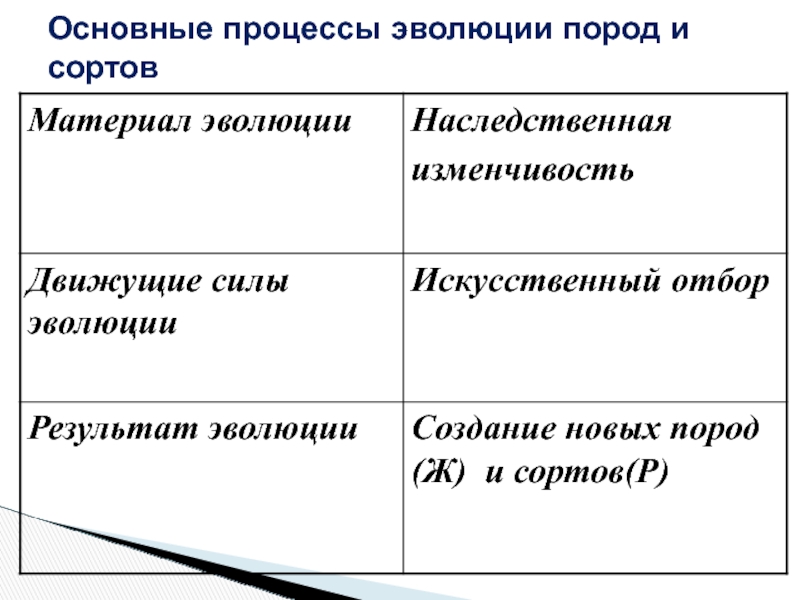 Основные процессы эволюции. Движущие силы эволюции пород и сортов. Материал для эволюционного процесса. Движущие силы (факторы) эволюции пород и сортов:.