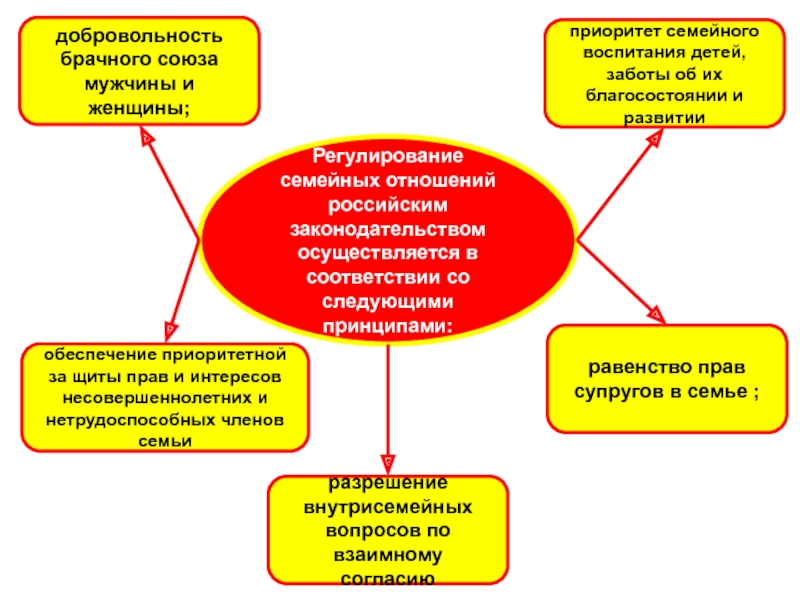 Добровольность брачного союза означает. Принцип добровольности брачного Союза. Добровольность брачного Союза мужчины и женщины. Добровольность заключения брачного Союза между мужчиной и женщиной. Добровольность это в обществознании.