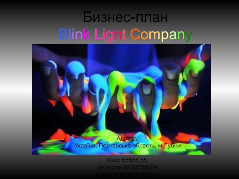 Презентация Бизнес-план B l i n k L ig h t C o m p a n y