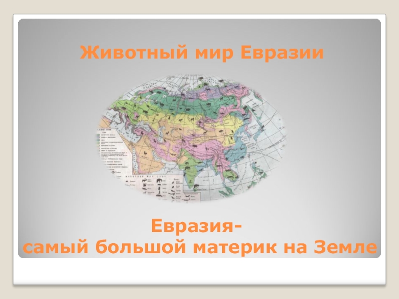 Презентация Животный мир Евразии. Евразия-самый большой материк на Земле