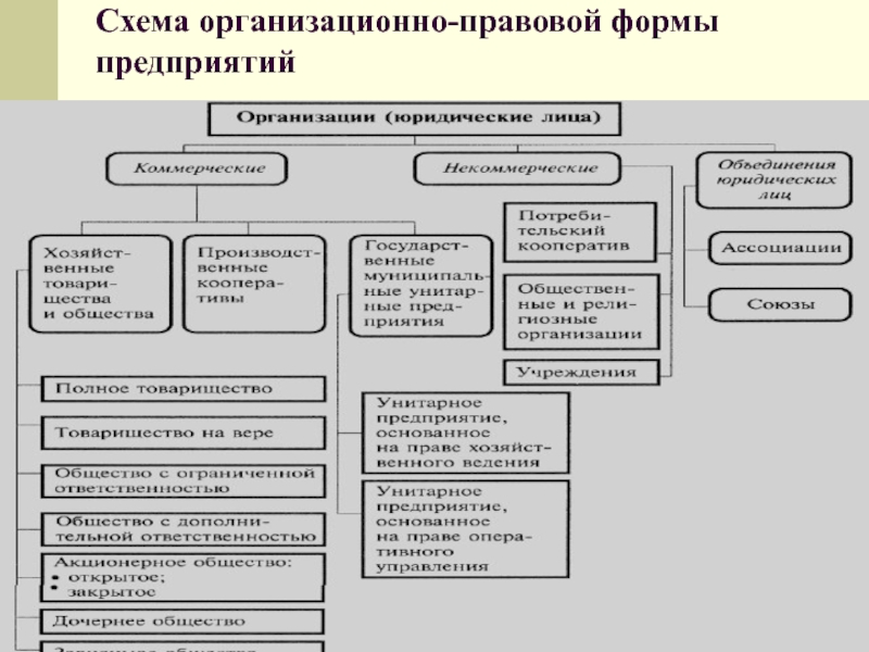 Организационно правовые формы предпринимательства презентация 10 класс экономика