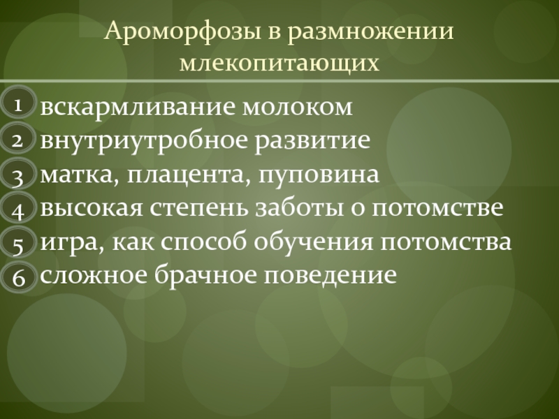 Схема как происходит развитие детеныша в матке у млекопитающих