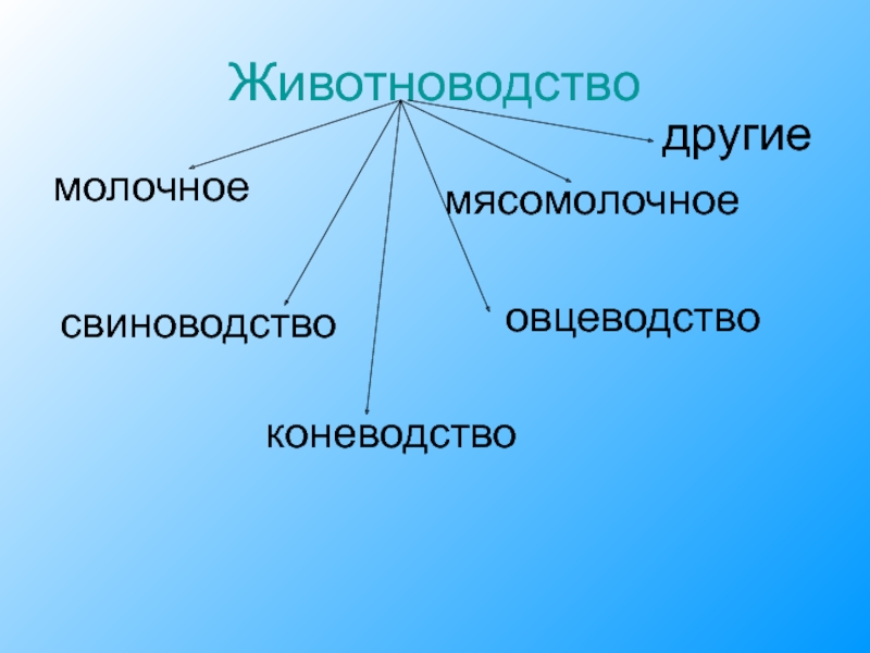 Составьте схему кластер животноводство