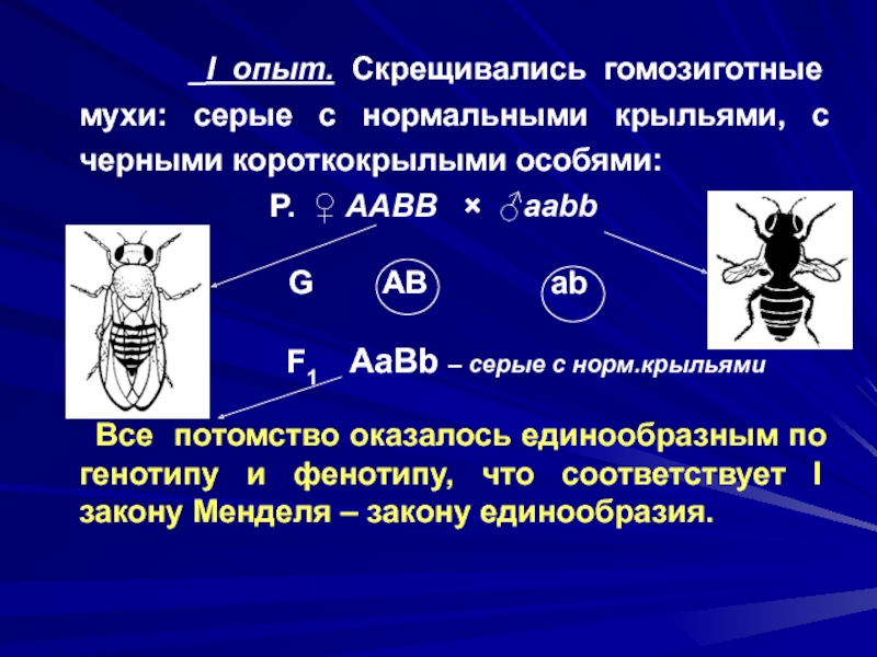 Закономерности наследования признаков презентация 10 класс