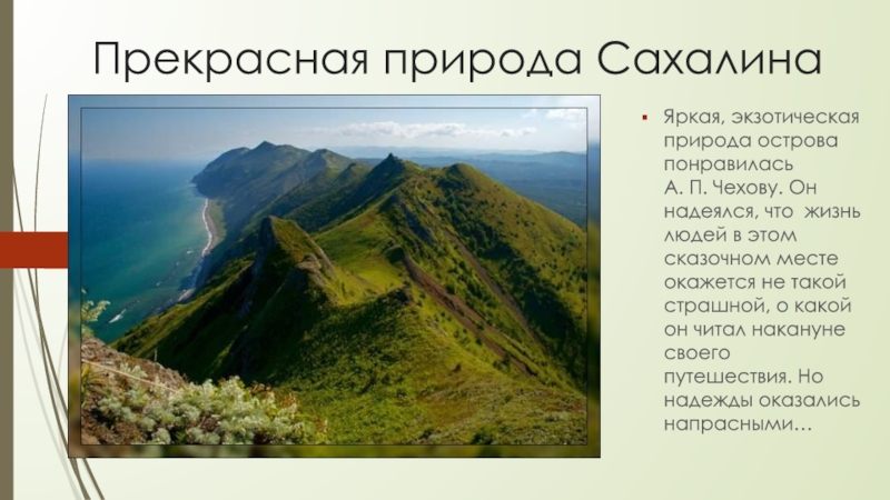 Прекрасная природа СахалинаЯркая, экзотическая природа острова понравилась      А. П. Чехову. Он надеялся,