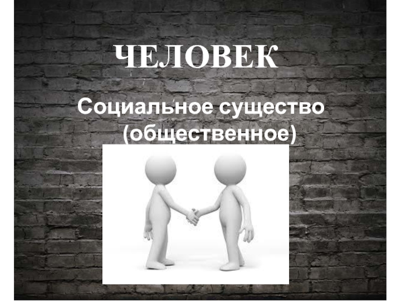 Человек как социальный вид. Человек социальное существо. Социальное в человеке. Человек существо Общественное. Человек существо социальное кто сказал.