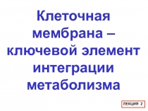 Клеточная мембрана