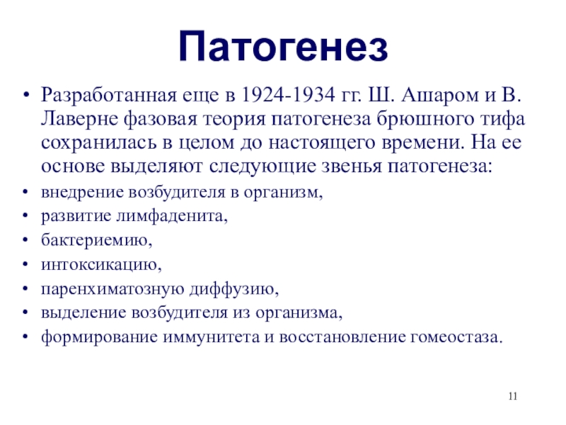 Схема патогенеза брюшного тифа