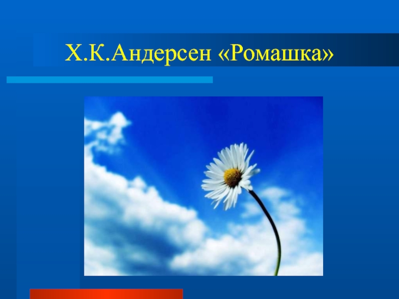 Презентация андерсен ромашка 3 класс