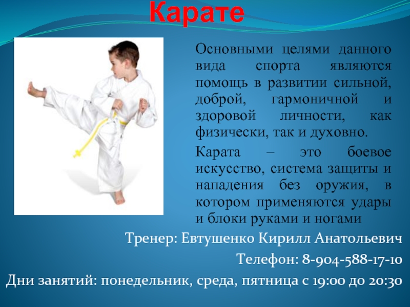 Проект по карате