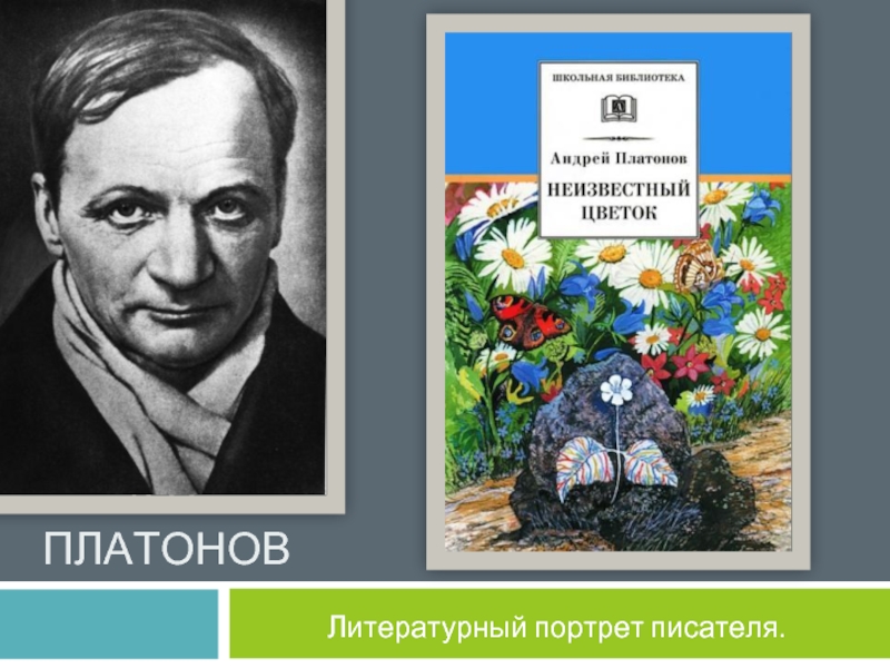 Литературный портрет писателя «А.П. Платонов»