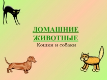 Домашние животные. Кошка и собака)