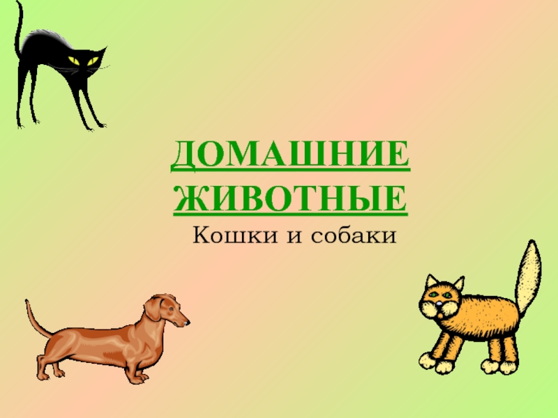 Презентация Домашние животные. Кошка и собака)