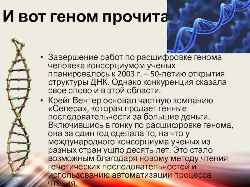 При расшифровке генома моркови 20. Проект геном человека. Геном человека расшифрован. Понятие о геноме человека. Организация генома человека.