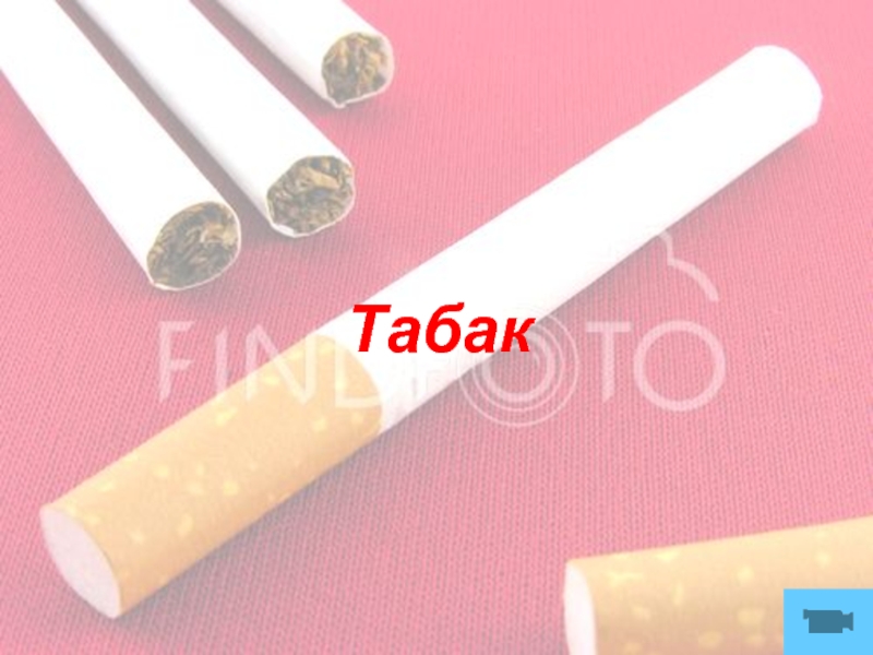 Презентация Табак