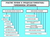 Лекция №26 Гепатит А