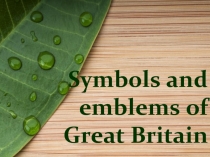 Symbols and emblems of Great Britain (Символы Британии)