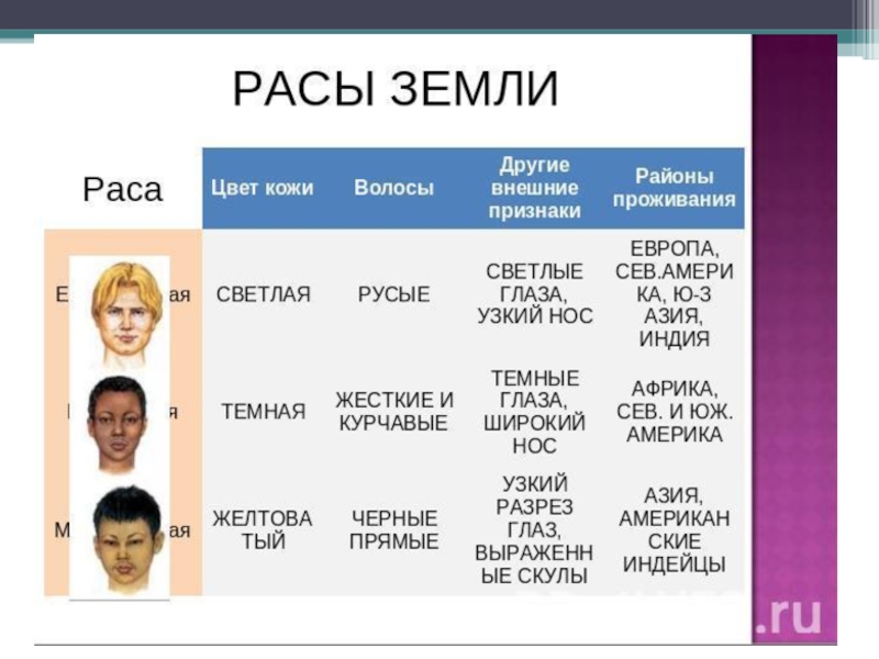 Презентация по географии 6 класс расы и народы