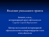 Болезни увеального тракта Доцент, к.в.н., ветеринарный врач-офтальмолог Сароян