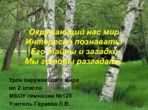 Презентация. Окружающий мир. 2 класс. Тема: 