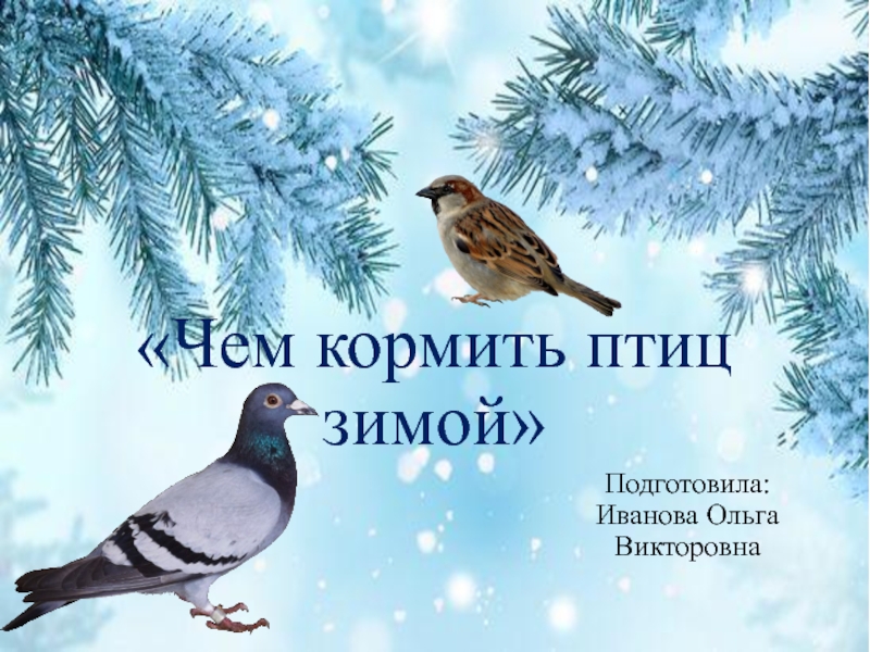 Презентация Чем кормить птиц зимой