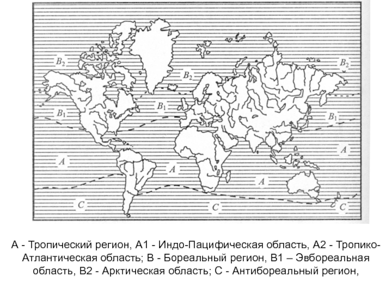 Бореальные леса северной америки карта