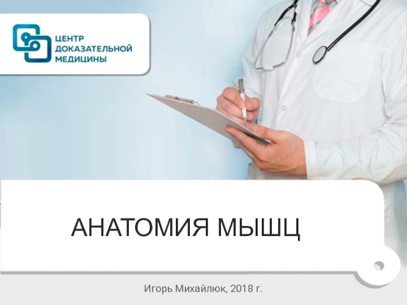 Презентация Анатомия мышц