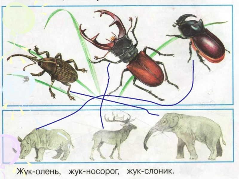 Почему их так называют презентация 1 класс окружающий мир плешаков