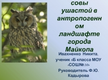 Биология совы ушастой в антропогенном ландшафте города Майкопа