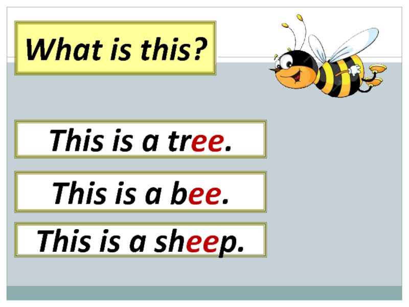 What is this? This is a bee.This is a tree.This is a sheep.