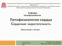 Государственное бюджетное образовательное учреждение высшего профессионального