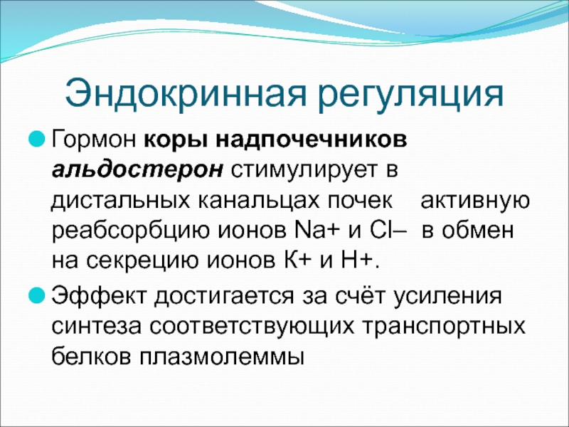 Стимулирует кору надпочечников. Источники развития надпочечников. В дистальных канальцах почек альдостерон ..... Регуляция секреции альдостерона. Регуляция секреции гормонов коры надпочечников.