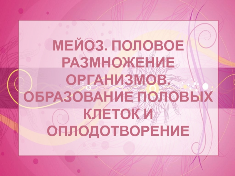 МЕЙОЗ. ПОЛОВОЕ РАЗМНОЖЕНИЕ ОРГАНИЗМОВ. ОБРАЗОВАНИЕ ПОЛОВЫХ КЛЕТОК И