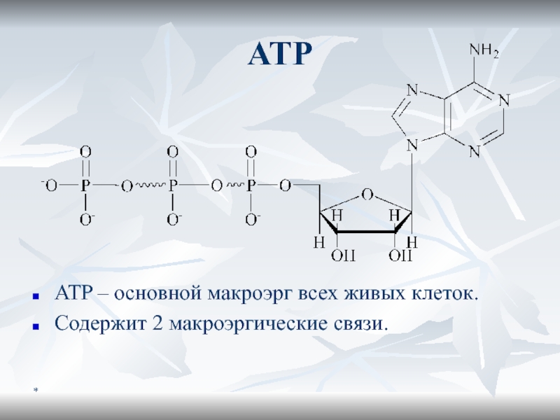 Макроэрги