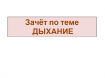 Зачёт по теме «Дыхание»