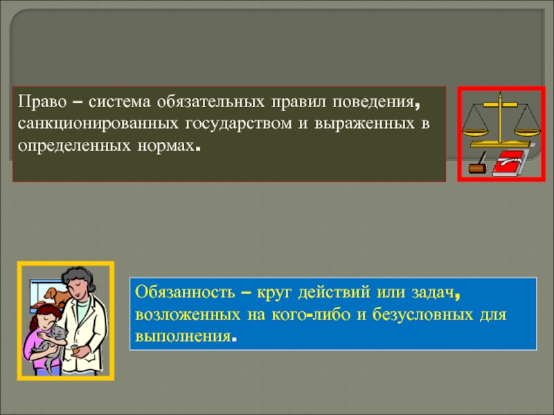 Правила поведения санкционированные государством