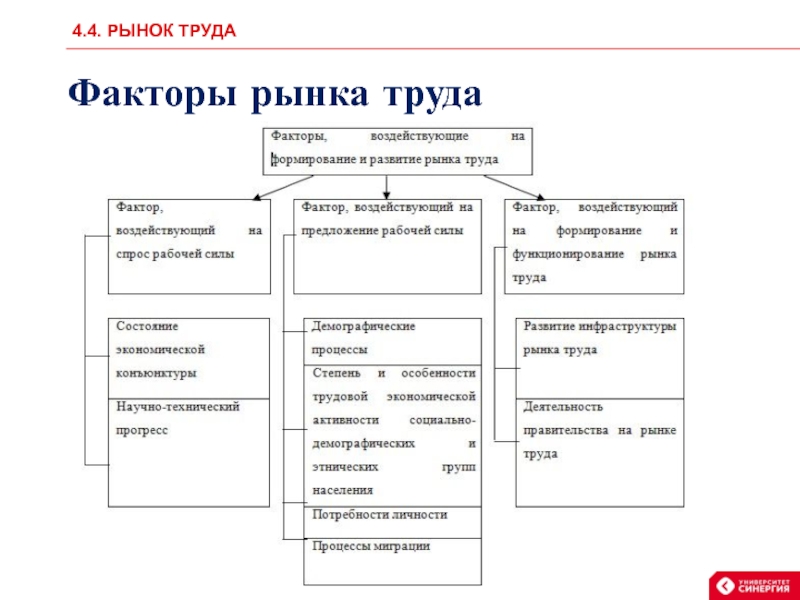 Структура рынка труда