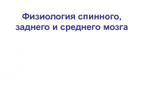 Физиология спинного, среднего и заднего мозга